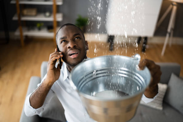 Best Ceiling water damage repair  in Port Carbon, PA