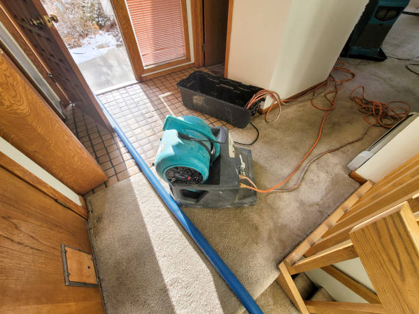 Port Carbon, PA Water damage restoration Pros