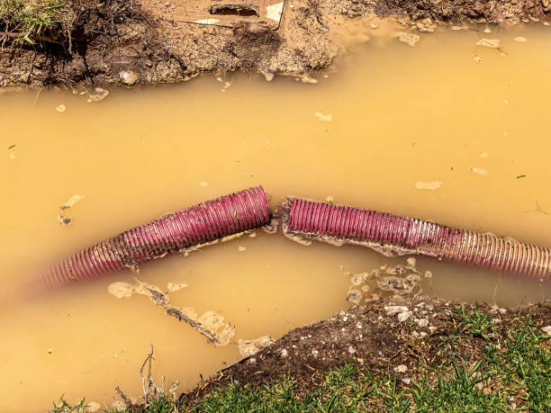 Best Water damage cleanup near me  in Port Carbon, PA